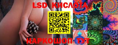 гидропоника Боровичи