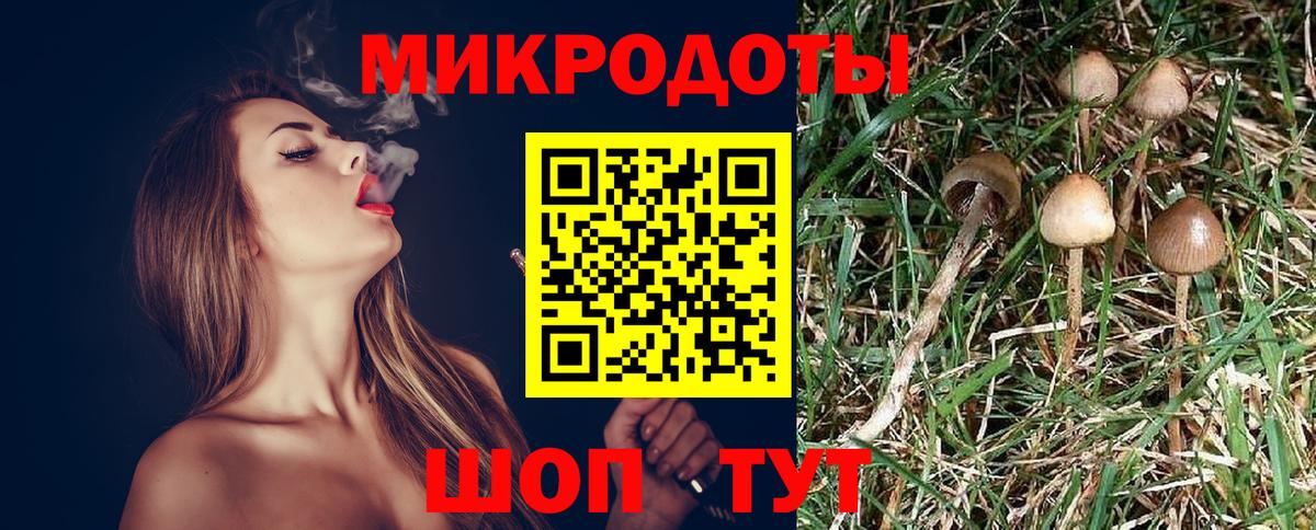 Галлюциногенные грибы ЛСД  Вход с VPN  Отрадное 